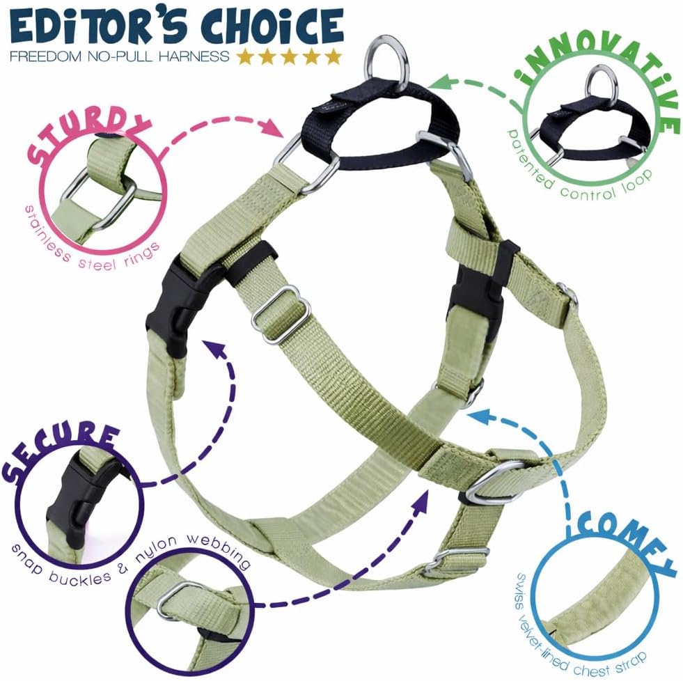 2 Hounds Design Freedom No Pull Dog Harness and Leash, 1" MD, Tan