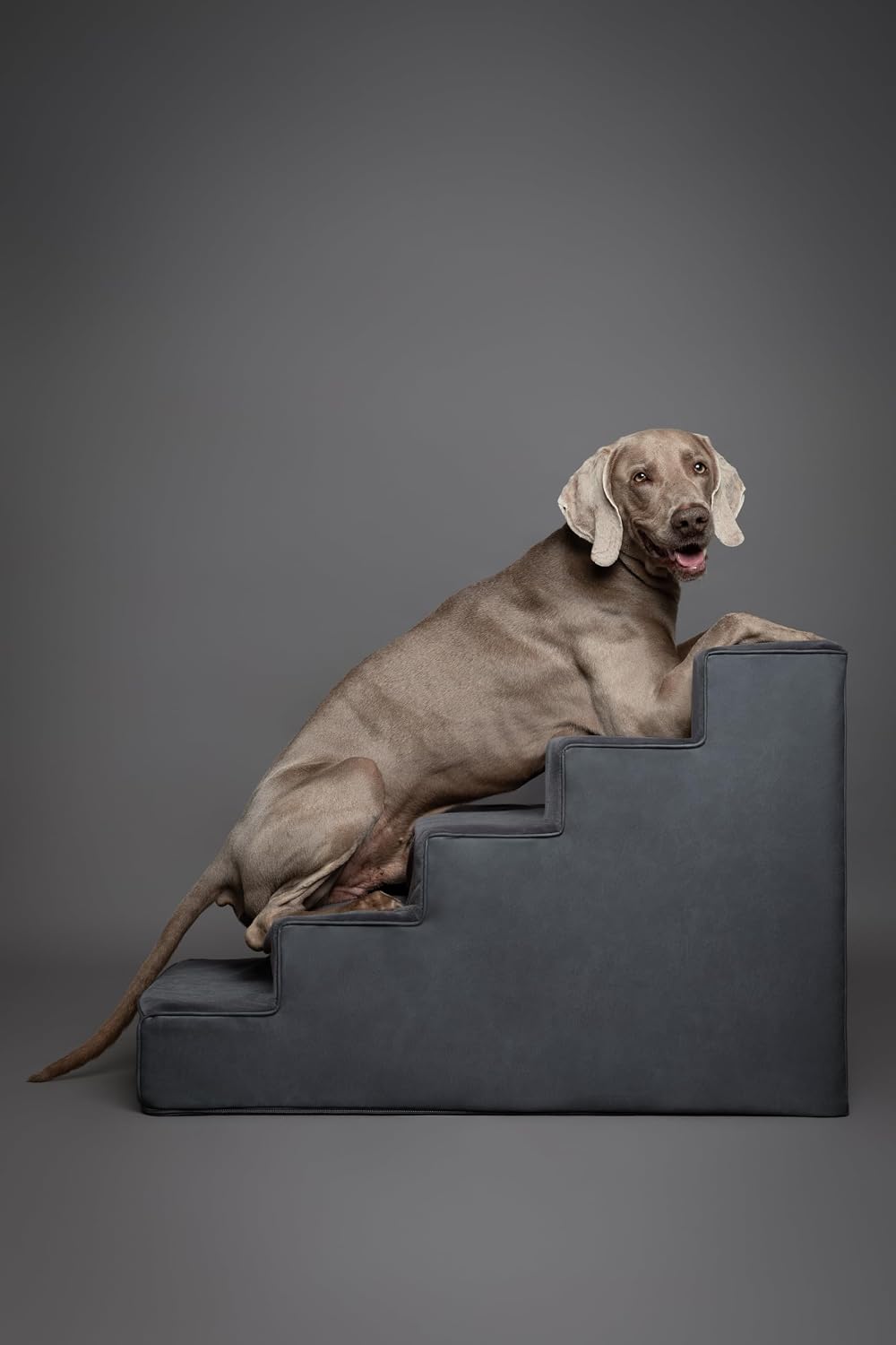 Noah & Paw Dog Stairs for Large Dogs, Up to 150lb, Wide Dog Ramp for Bed