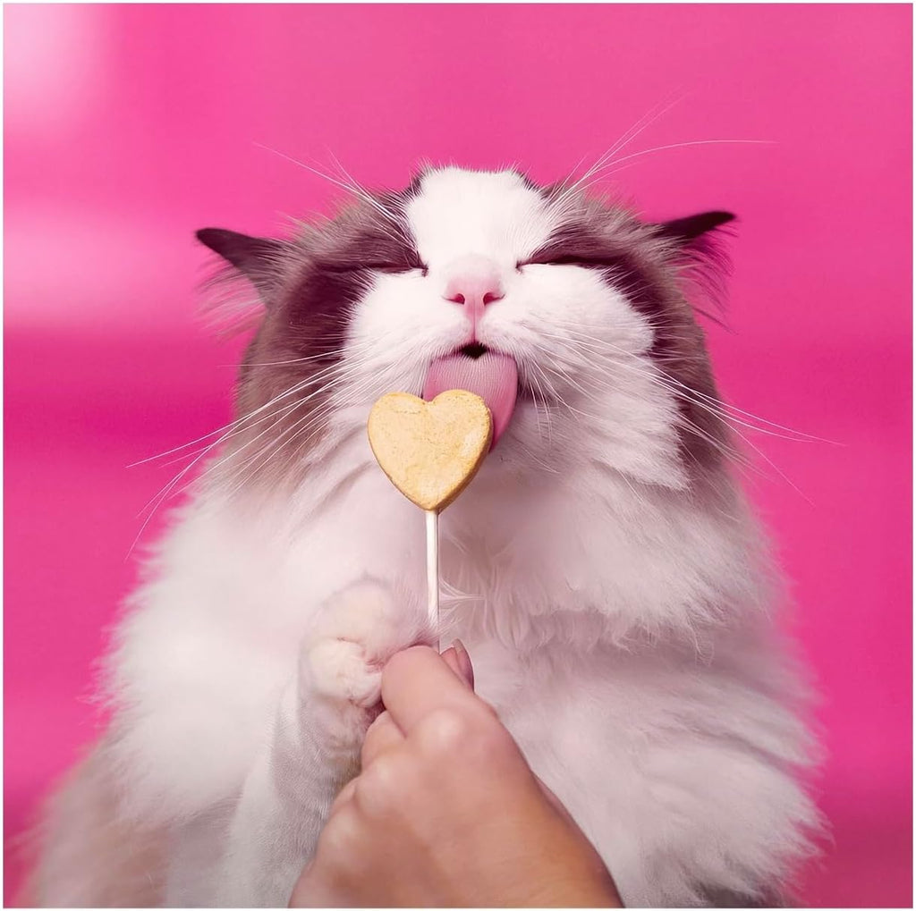 BONKERS Purr Pops Chicky Licks Freeze-Dried Cat Treats, 4-Count, 2 Packs with Cat Spring Toys