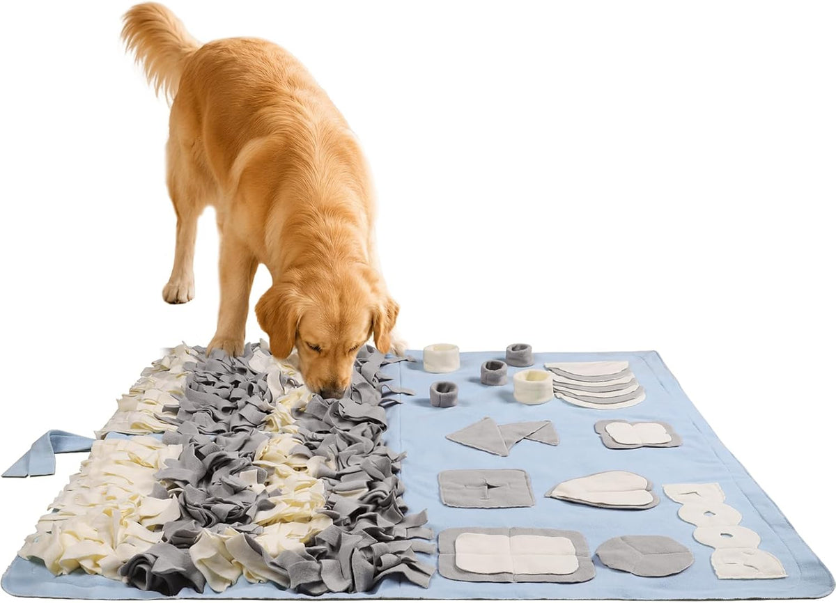 Snuffle Mat for Dogs: Slow Food Interactive Experience