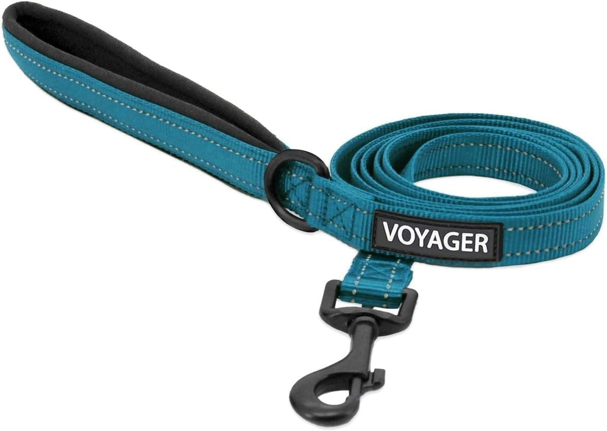 Best Pet Supplies Voyager Nylon Dog Leash - Turquoise, Medium