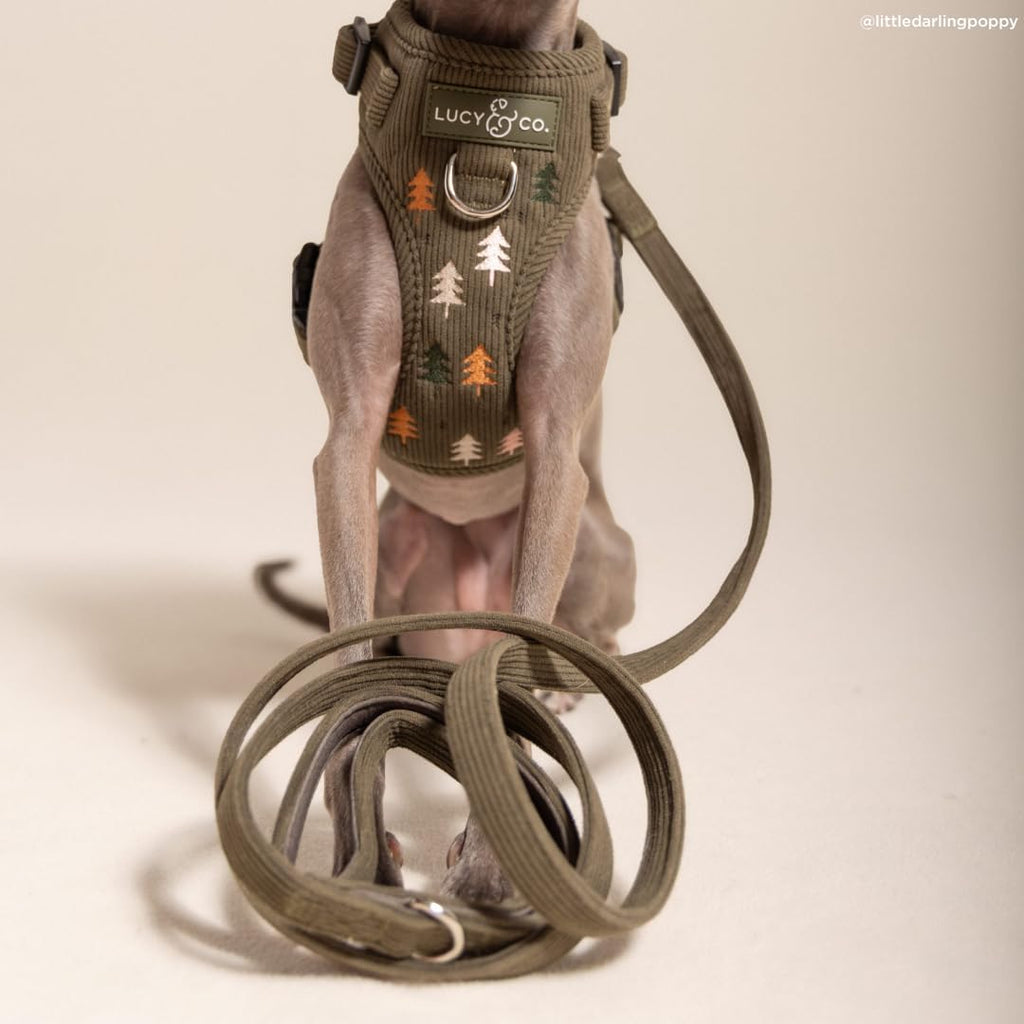 Lucy & Co. Take a Hike Corduroy Dog Leash, L