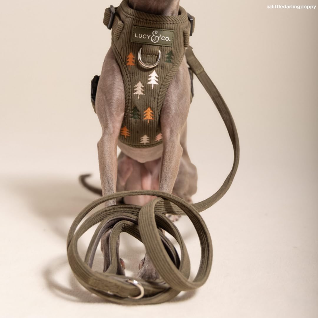 Lucy & Co. Take a Hike Corduroy Dog Leash, S