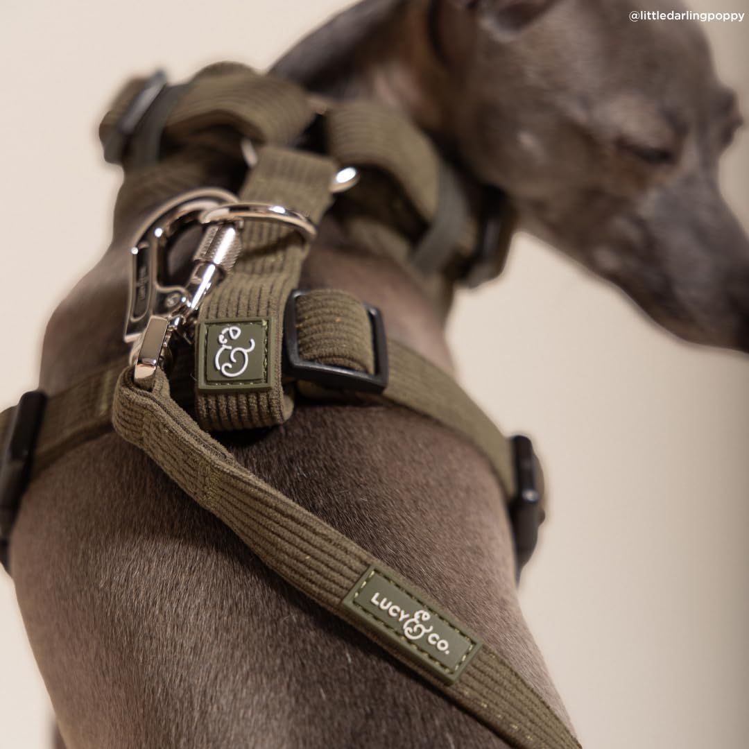 Lucy & Co. Take a Hike Corduroy Dog Leash, L
