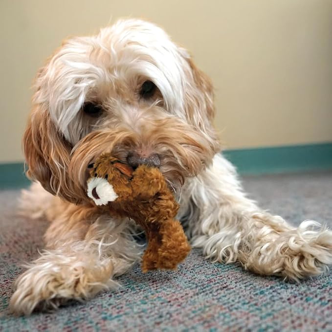 KONG Low Stuffing with Squeaker Dog Toy, X-Small, 3 Animals, Bear, Duck, Frog