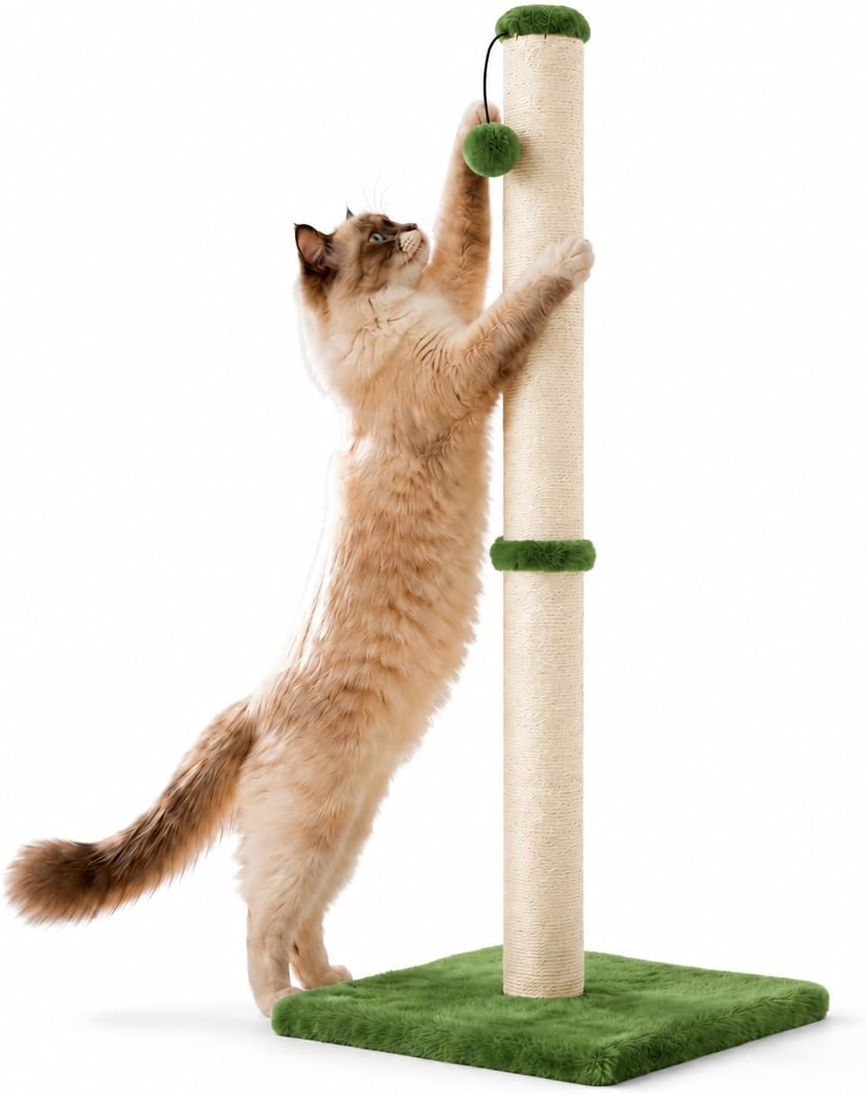 Dimaka Tall Cat Scratching Post, Claw Scratcher with Sisal Rope and Covered with Soft Smooth Plush, Vertical Scratch [Full Strectch] for Standard Size Cats (Green, 34 inches for Large Cats)