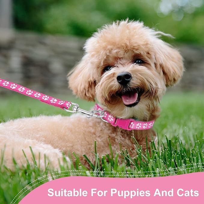 Small Dog Collar and Leash Set, Puppy Leash and Collar XXS Tiny Cat Collar