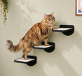 Cat Wall Shelves, Black Floating Cat Steps Set of 3