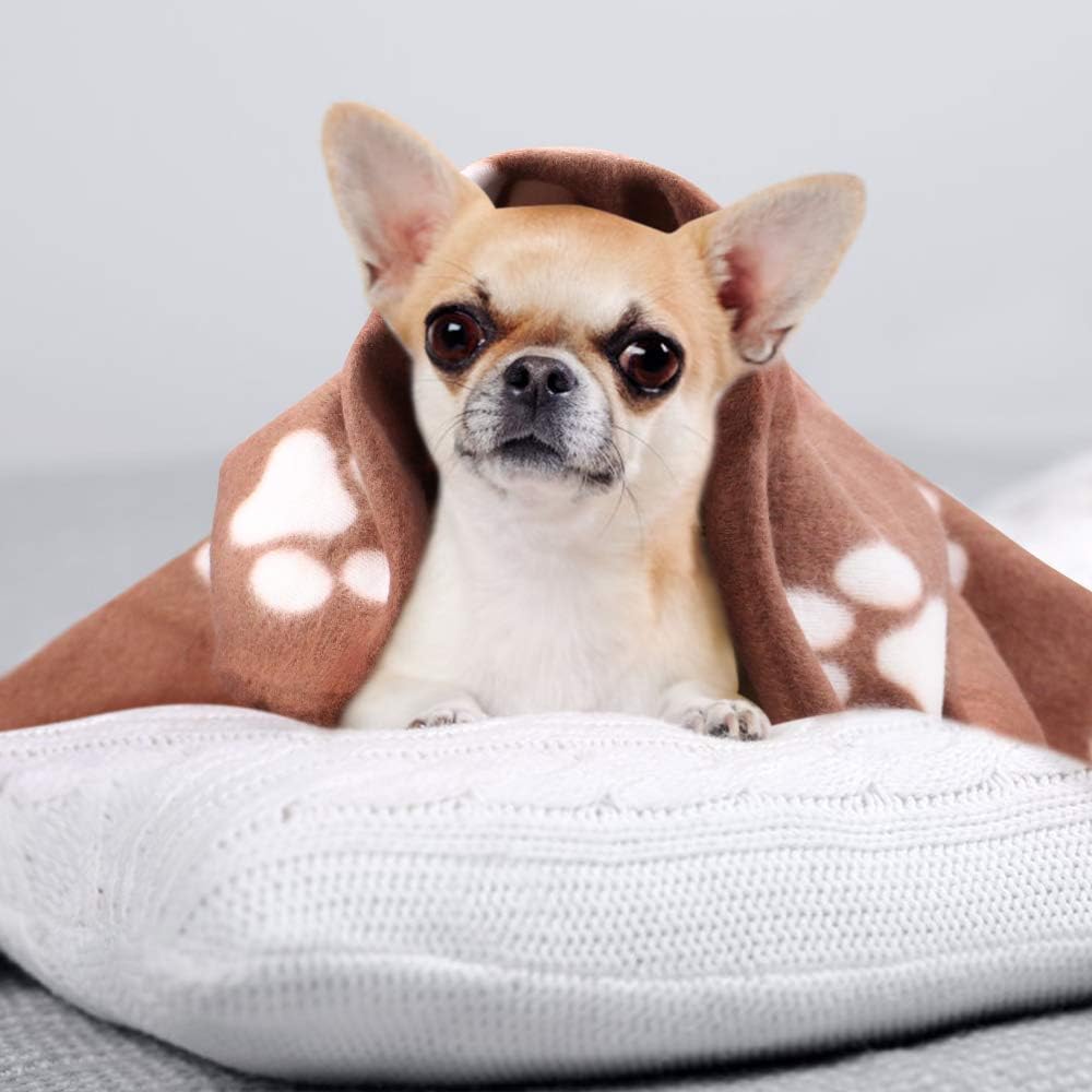 Comsmart Dog Blankets, 6 Pack Fleece Pet Blankets, 24x28 Inches, Brown