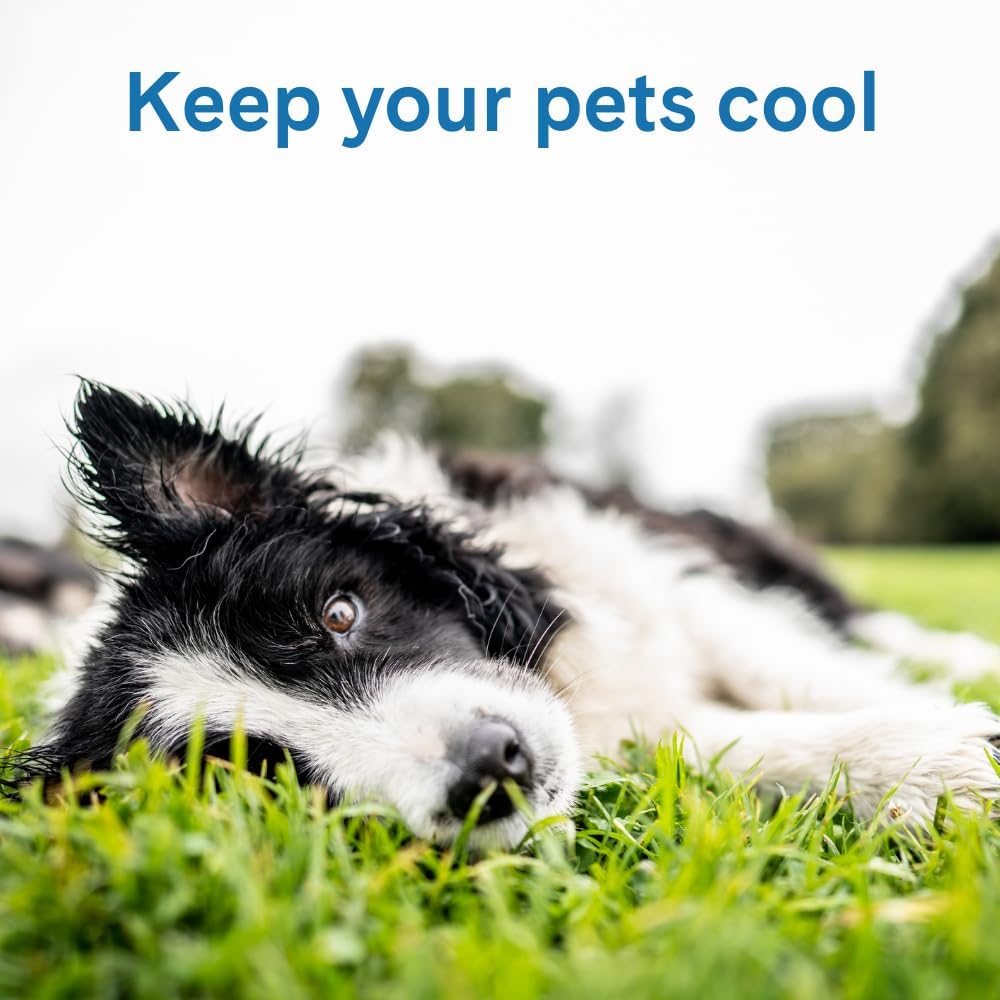 The Green Pet Shop Cool Pet Pad - Extra Small, Iced Latte - Self-Cooling, Pressure Activated Mat for Dogs & Cats from 0-8 lbs - Non-Toxic Gel, No Water Needed