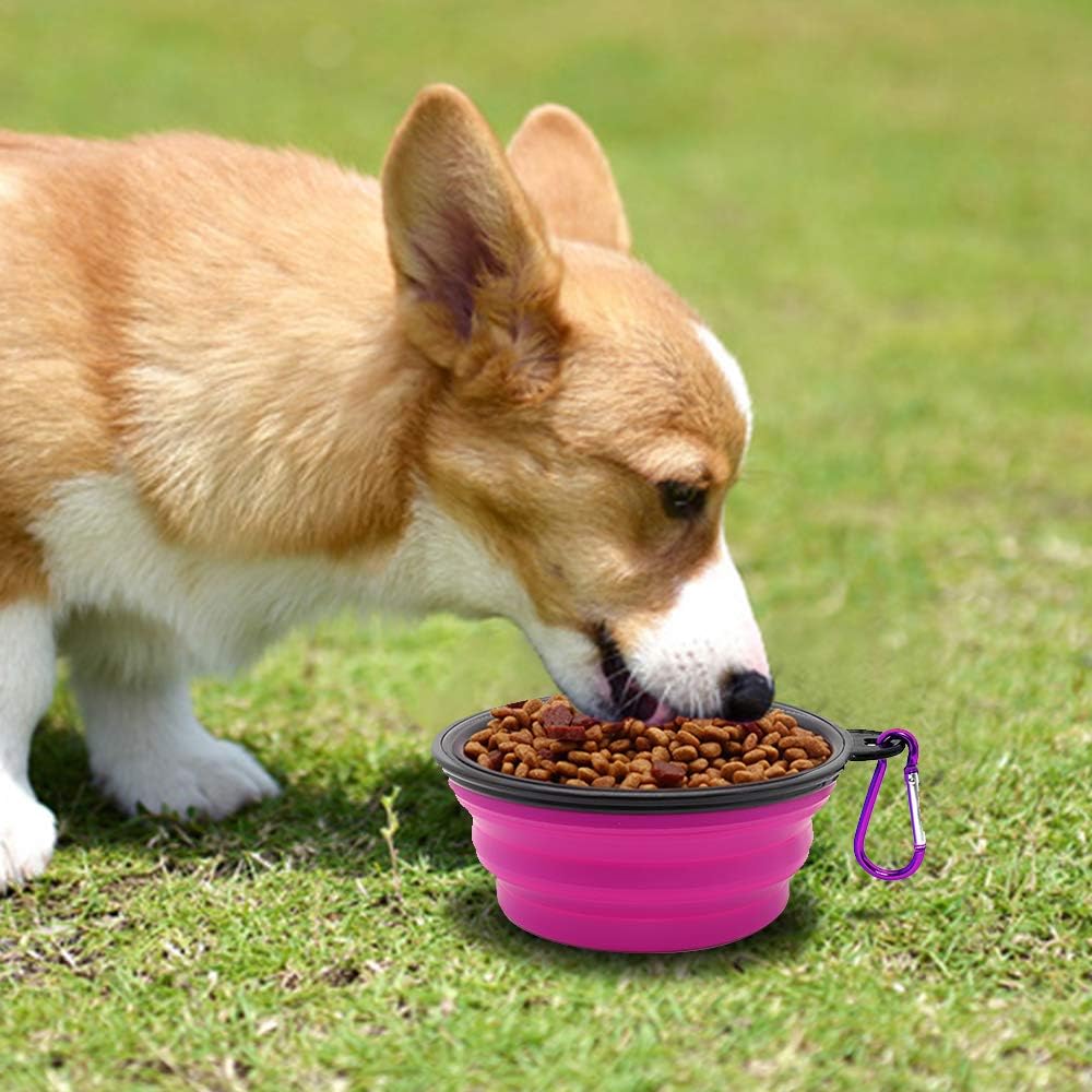 Dog Bowl Pet Collapsible Bowls, 2 Pack Collapsible Dog Water Bowls for Cats Dogs, Portable Pet Feeding Watering Dish for Walking Parking Traveling with 2 Carabiners (Small, Green+Purple) 