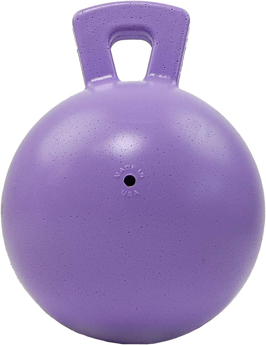 Jolly Pets Tug-n-Toss Heavy Duty Dog Toy Ball with Handle, 8 Inches/Large, Light Purple