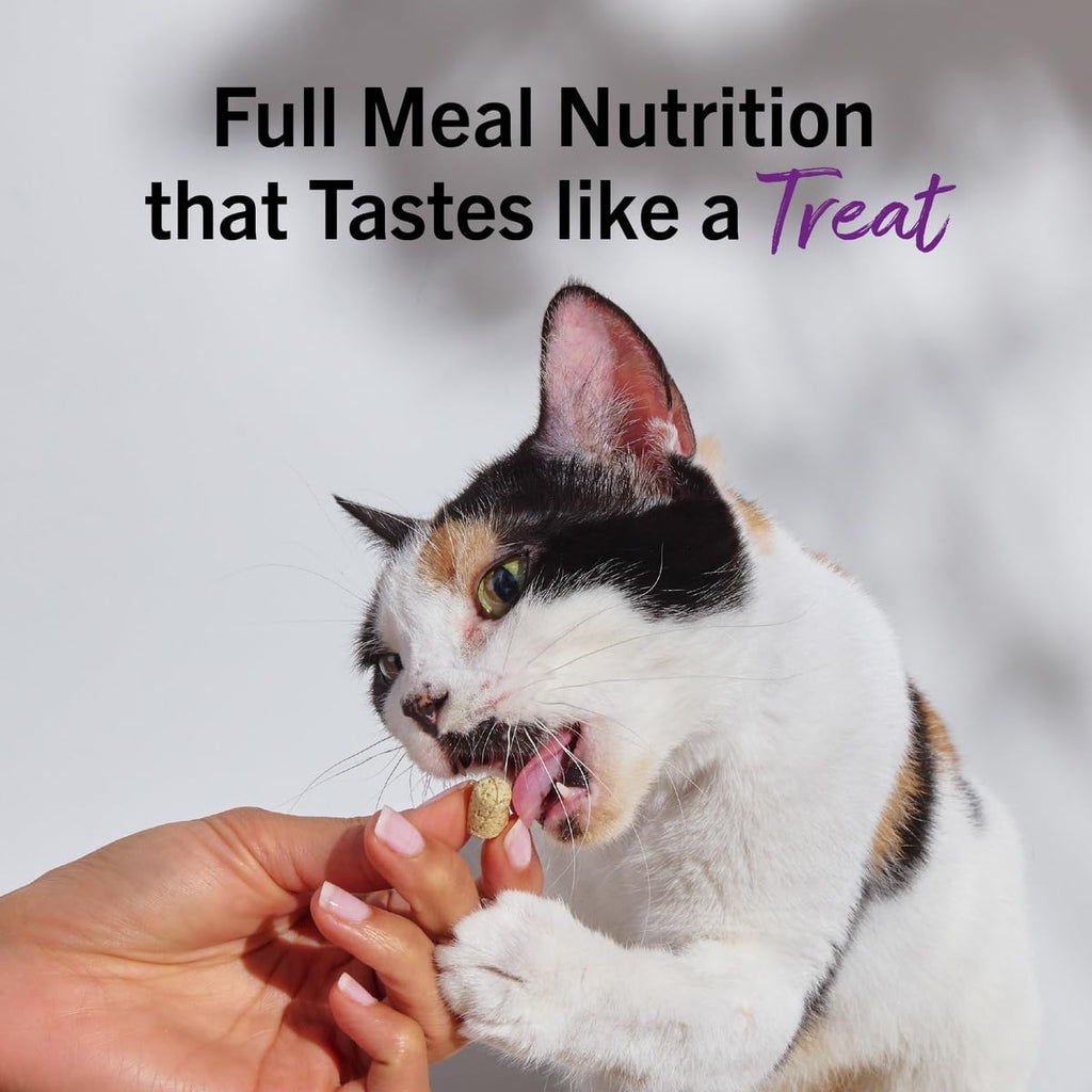 Stella & Chewy's Freeze-Dried Raw Cat Dinner Morsels - Premium Salmon & Cod Recipe with 98% Wild-Caught Fish & Organs - Natural Grain-Free Cat & Kitten Food - Made in USA - 18 oz (Pack of 2)