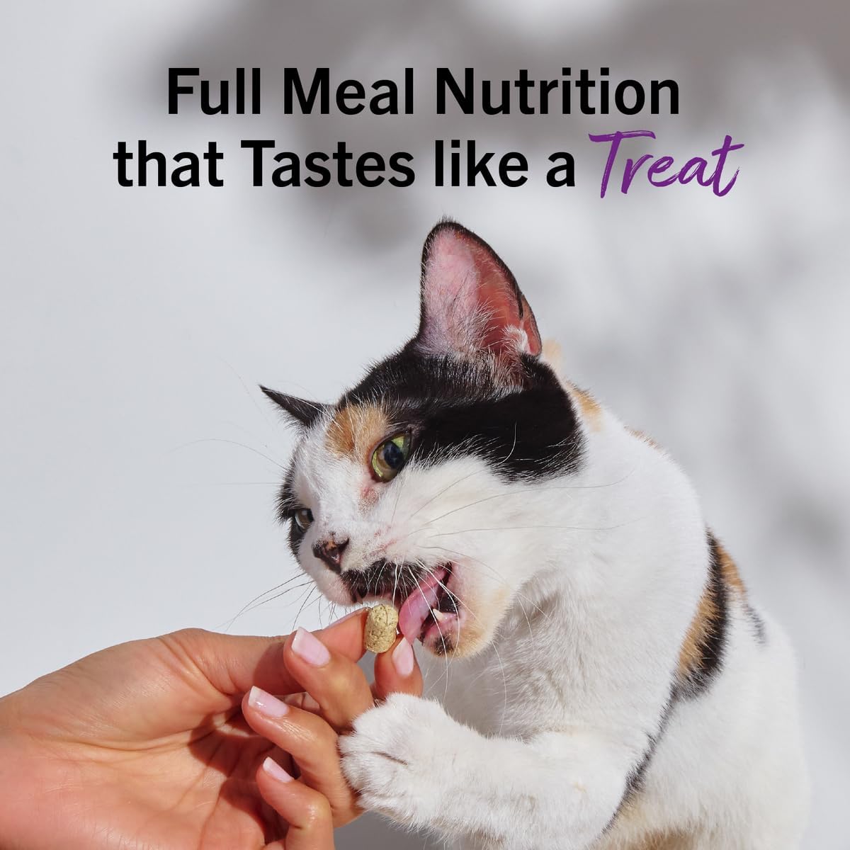 Stella & Chewy's Freeze-Dried Raw Cat Dinner Morsels - Premium Duck & Goose Recipe with 98% Cage-Free Poultry-& Organs - Natural Grain-Free Cat-& Kitten Food - Made in USA - 18 oz,(Pack of 2)