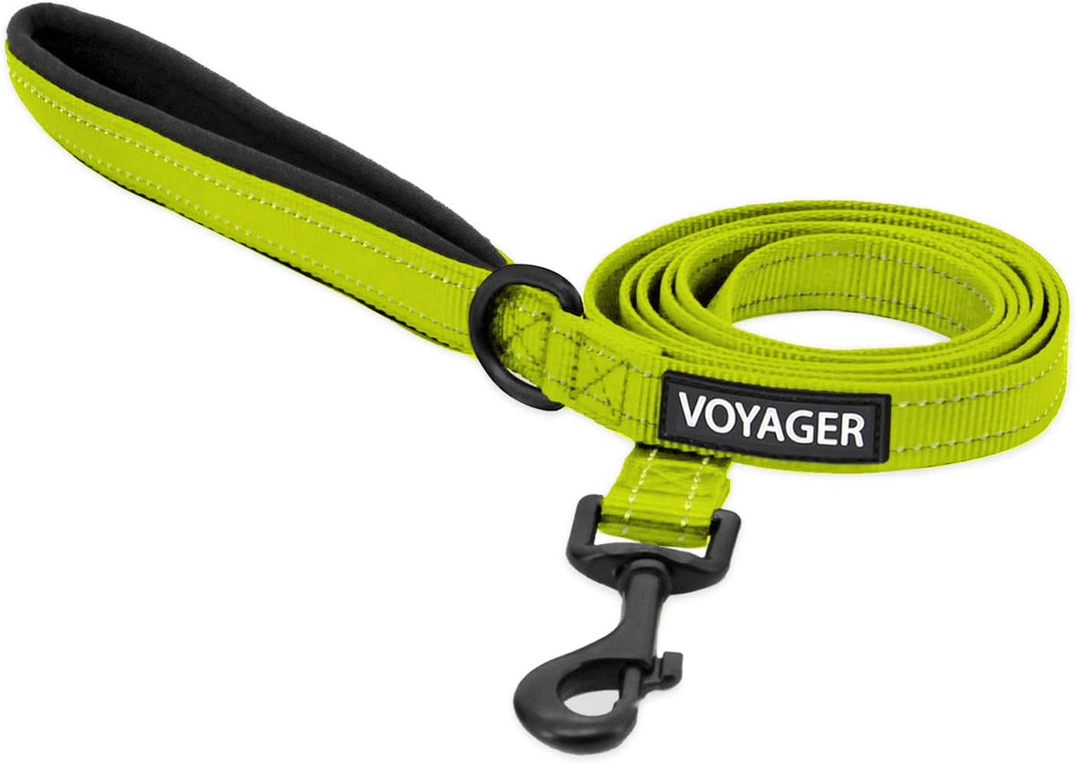 Best Pet Supplies Voyager Nylon Dog Leash - Lime Green, Small