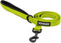 Best Pet Supplies Voyager Nylon Dog Leash - 6ft Lime Green, Large