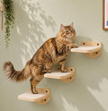 Cat Wall Shelves, Natural Floating Cat Steps Set of 3