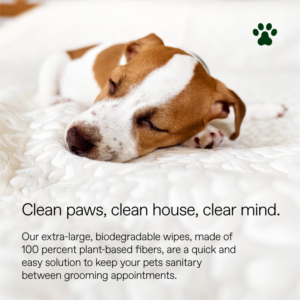 ALŌH Hypoallergenic Pet Wipes for Dog, Lavender & Wild Mint, All-Natural | Grooming & Cleaning Wipes for Paws, Butt, Face & Body - Sensitive Skin Safe with Coconut & Avacado Oil - 50 Wipes