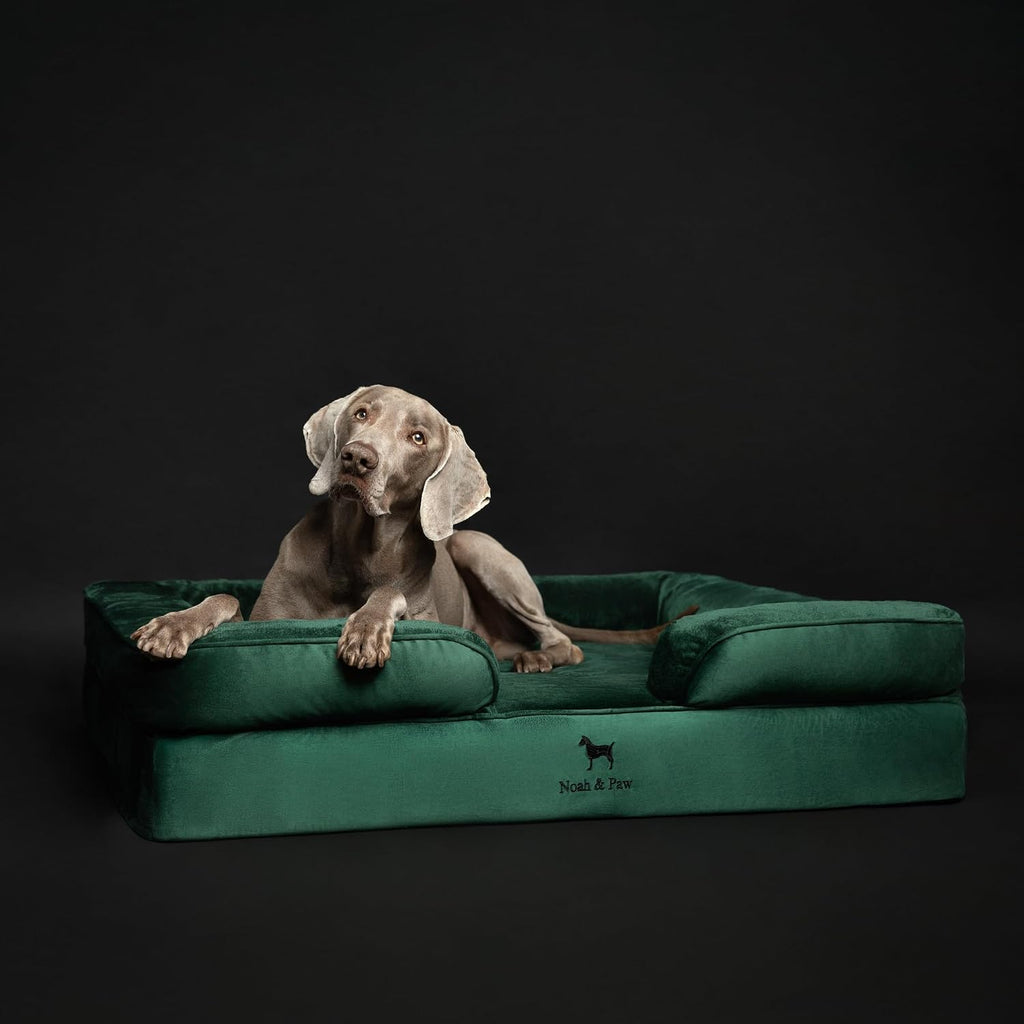 NOAH & PAW Large Dog Bed, Orthopedic Memory Cooling Foam (2X Base) 45x35x11