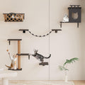 5-in-1 Cat Wall Shelves Set with Hammock, Wall-Mounted Cat Furniture Includes Condo, Bridge, Ladder & Steps for Indoor Cats, Safe & Stable (Dark Gray)