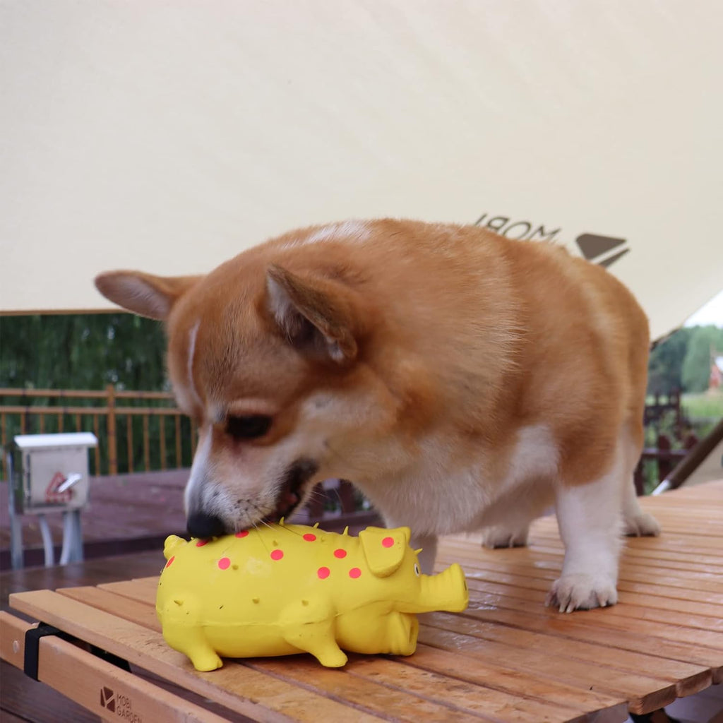 Squeaky Pig Dog Toy, 2 PCS Durable Latex Rubber Dog Toys for Chewing