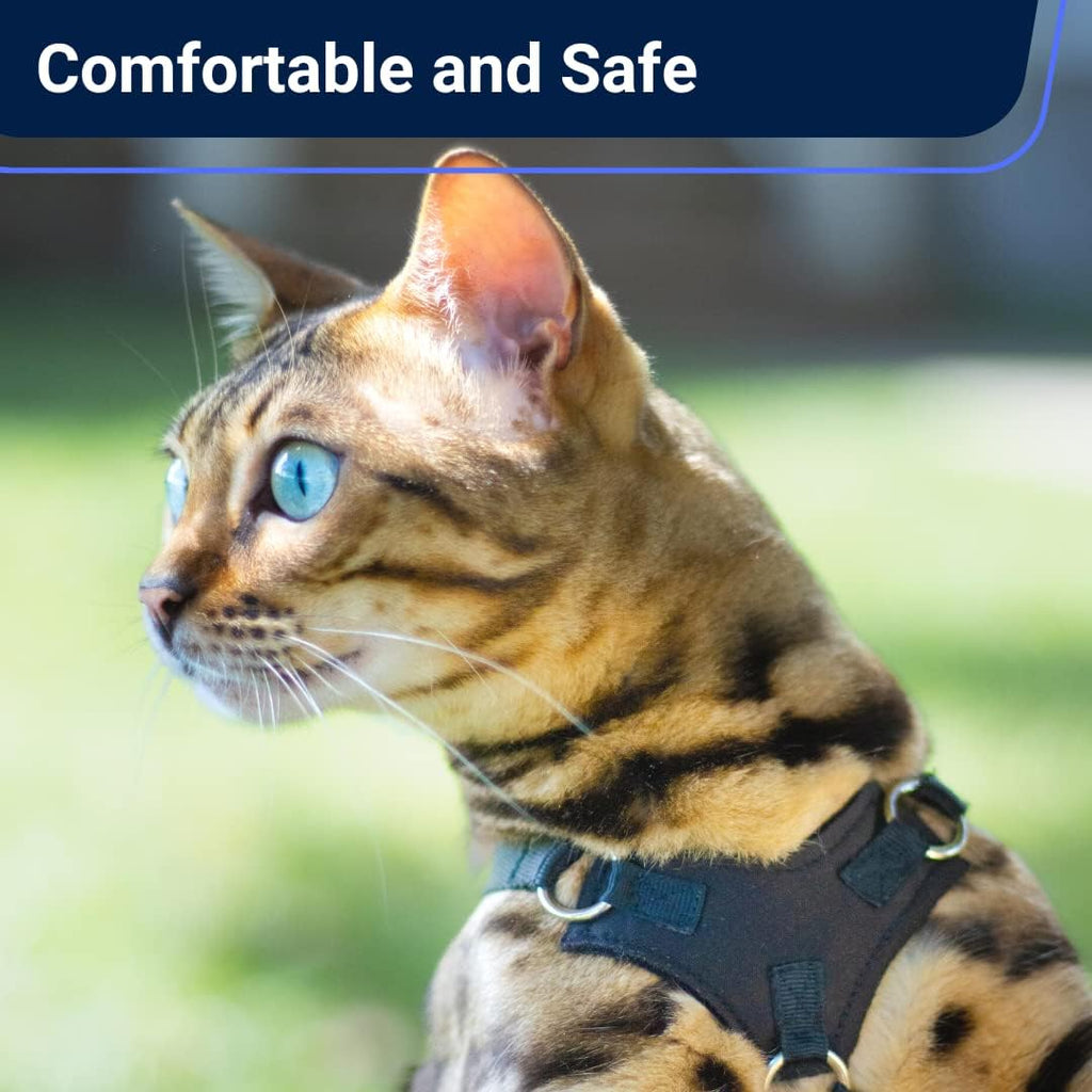 OutdoorBengal Houdini™ Escape Proof Cat Harness and Leash (V. Leather, XL)