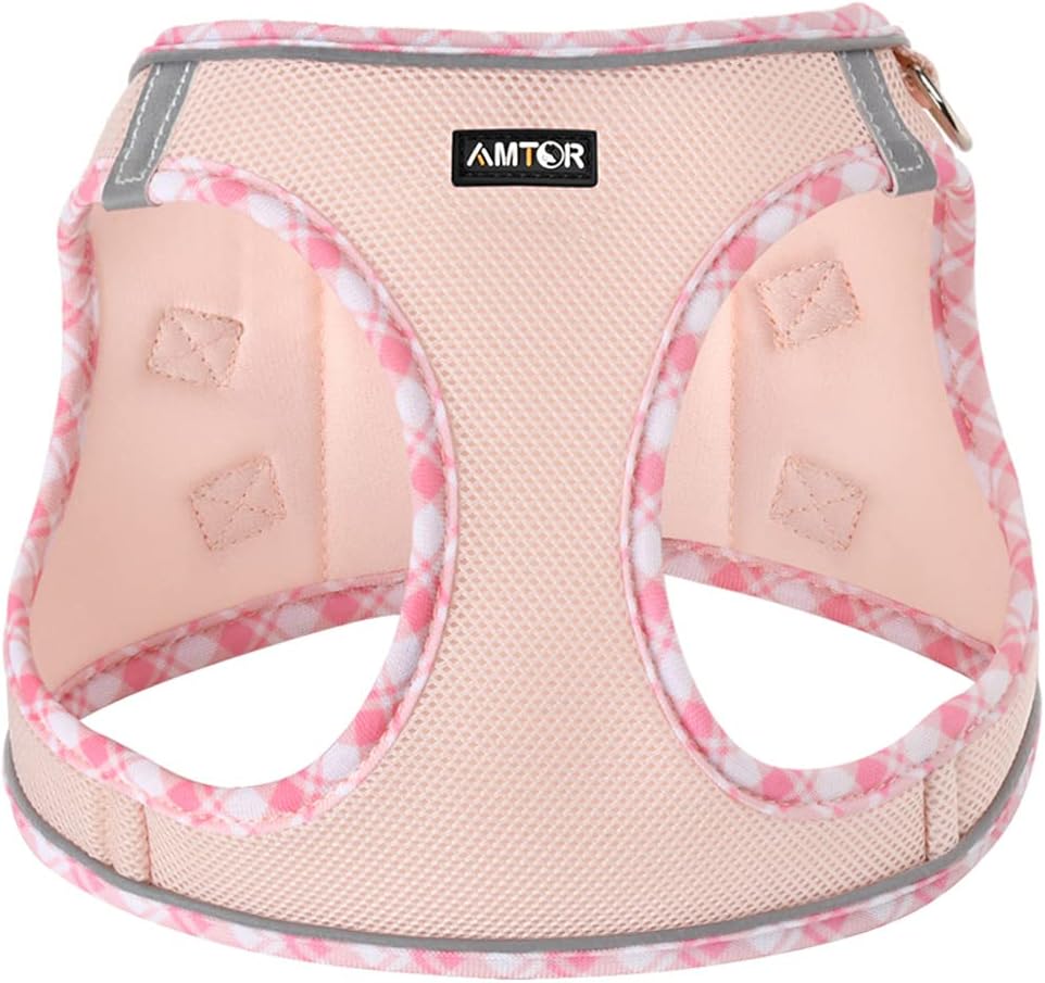 AMTOR Small Dog Harness with Leash Set, No Escape Easy Walk Puppy Harnesses for Training Walking, Step-in Reflective Soft Dogs Vest for XS S Medium Extra-Small Large Sized Dog(Pink,XL)