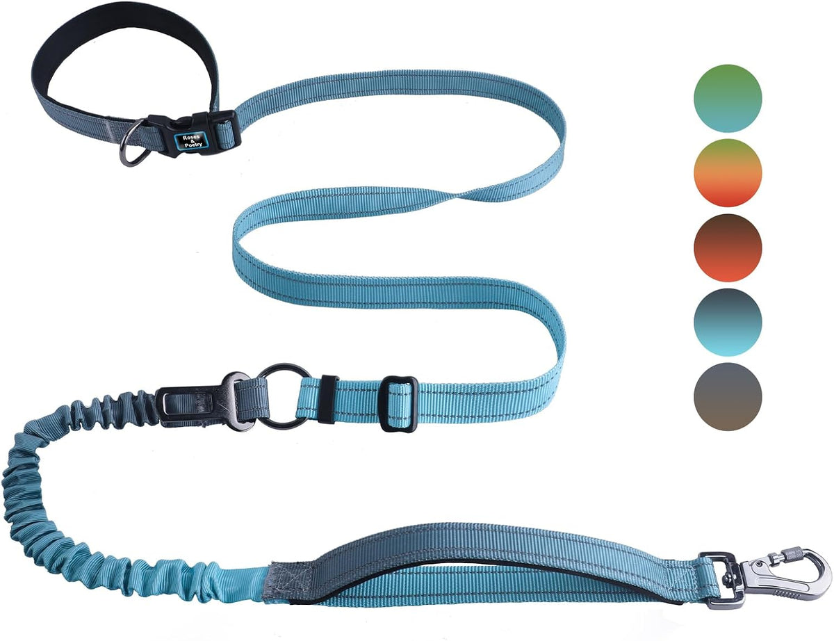 Roses&Poetry Hands Free Dog Leash for Medium Large Dogs Heavy Duty, No Pull Bungee Dog Running Waist Leash for Walking Training with Car Seatbelt 4-6FT