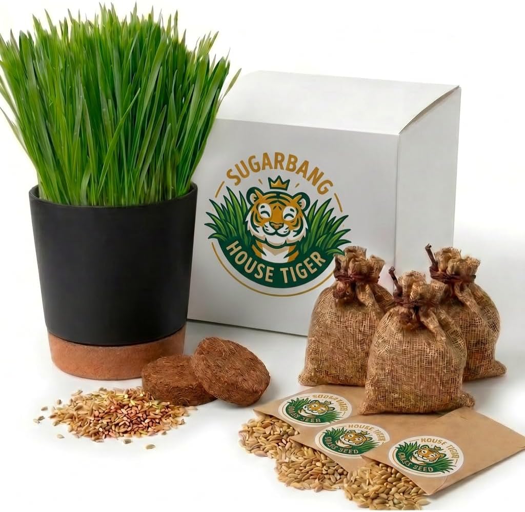 House Tiger Cat Grass Gift Set - Complete All-in-One Kit with Self-Watering Stay Fresh Pot & 3-Pack Refill | Includes Premium Cat Grass Seed, Coco Coir Soil Discs | Aids Digestion & Hairball Control
