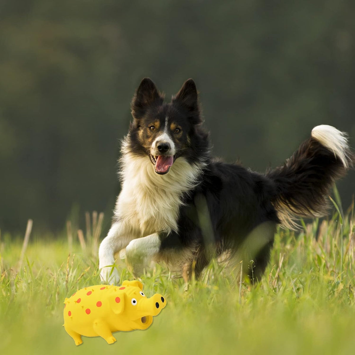 Squeaky Pig Dog Toy, 2 PCS Durable Latex Rubber Dog Toys for Chewing