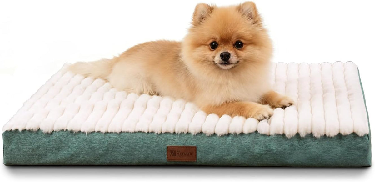 Orthopedic Dog Bed for Small Dogs,Firm Egg Crate Foam,Non-Slip Bottom,Green