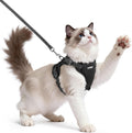 rabbitgoo Cat Harness and Leash, Easy-on with Neck Buckle, Black