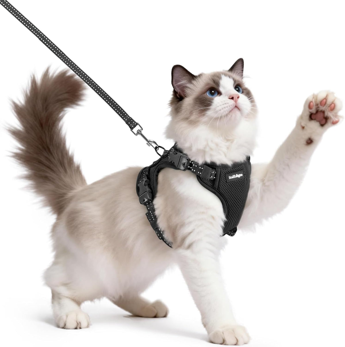 rabbitgoo Cat Harness and Leash, Easy-on with Neck Buckle, Black