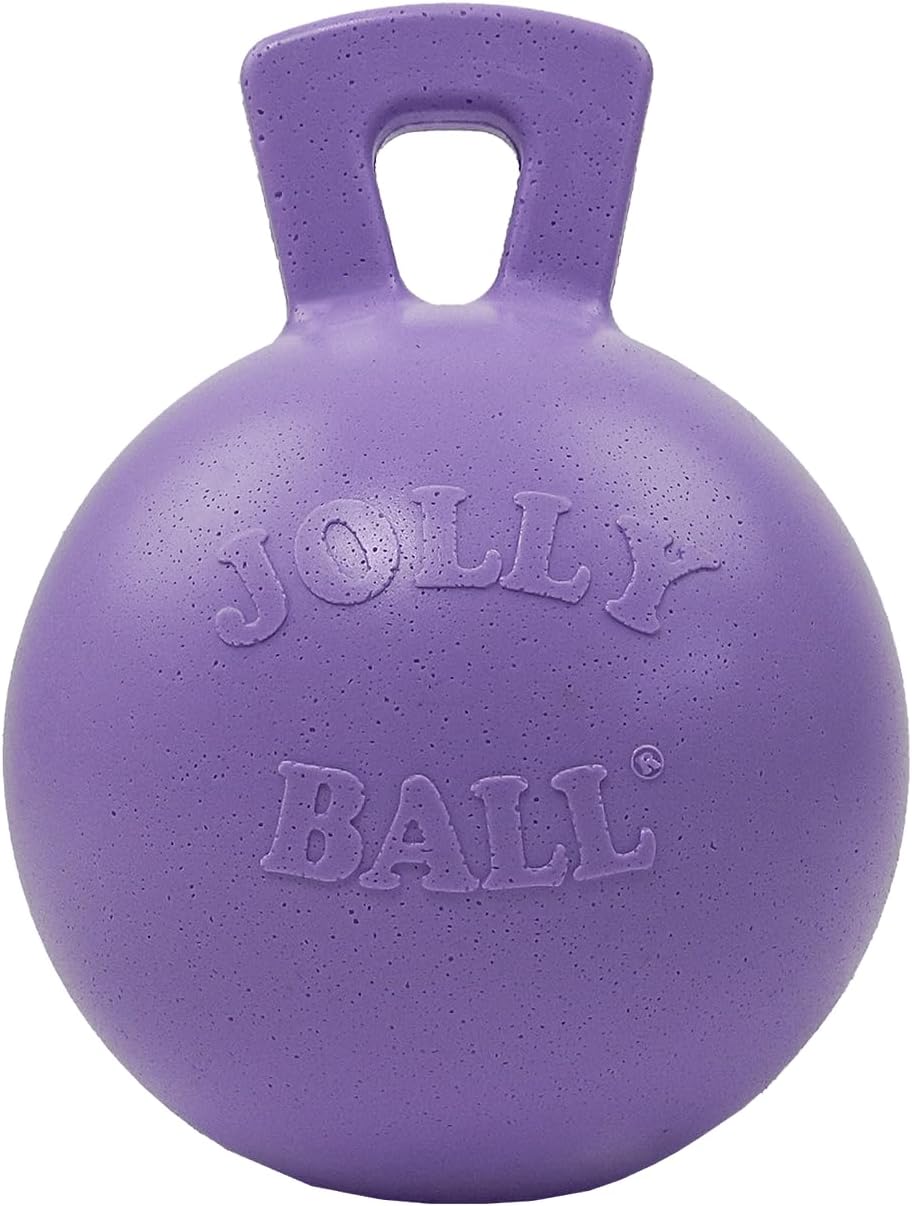 Jolly Pets Tug-n-Toss Heavy Duty Dog Toy Ball with Handle, 4.5 Inches/Small, Light Purple