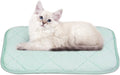 NWK Self Warming Thermal Pet Mat for Dogs and Cats (Green, Small)