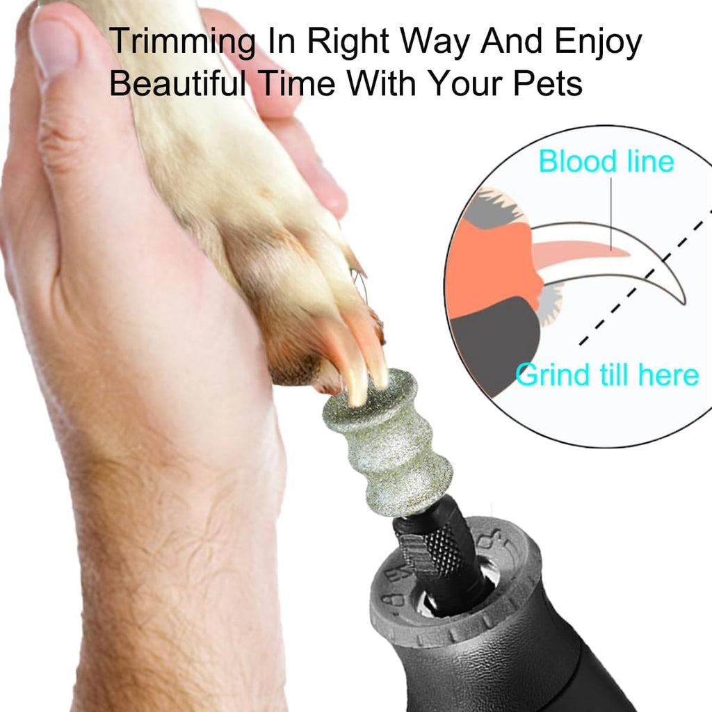 Dog Nail Grooming Tools - Dog Nail Grinder Attachment for Dremel - Diamond Rotary Nail Grinder Bits for Small Medium Dogs Cats and Animals (L)