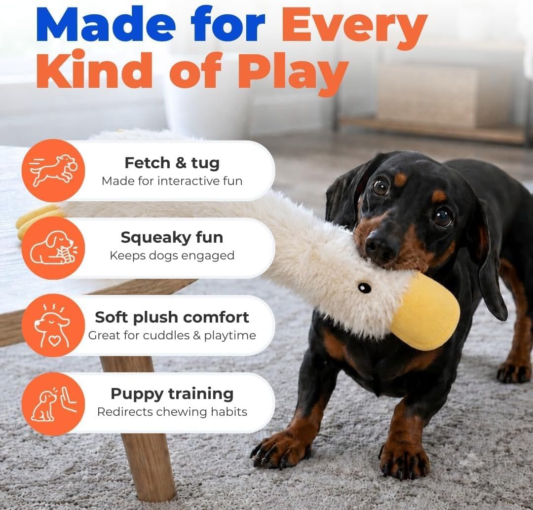 Best Pet Supplies 2-in-1 Stuffless Squeaky Dog Toy - Pack of 4, Medium