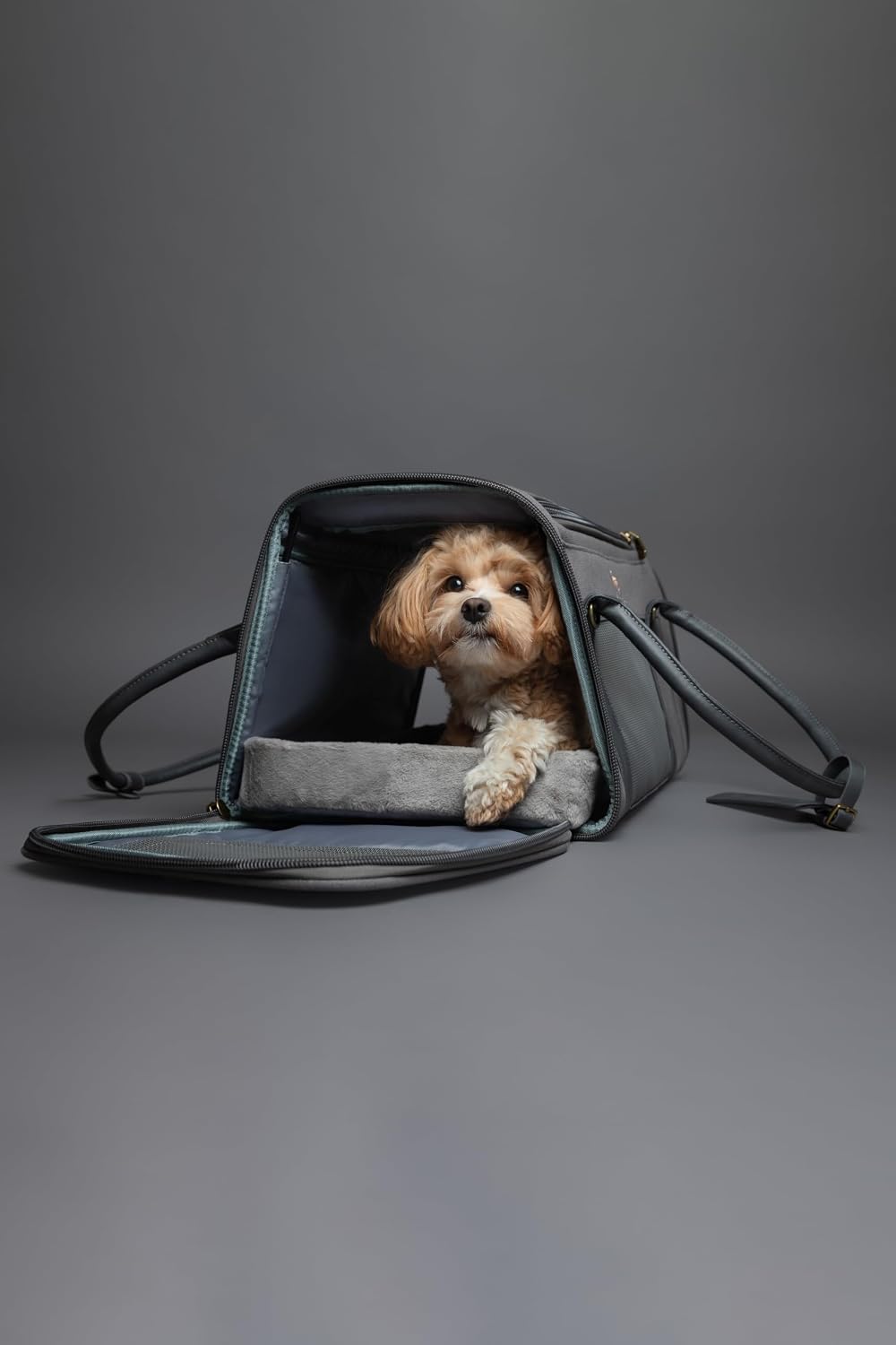 Noah & Paw Cat Carrier Soft Dog Carrier for Small Dogs TSA Airline Approved