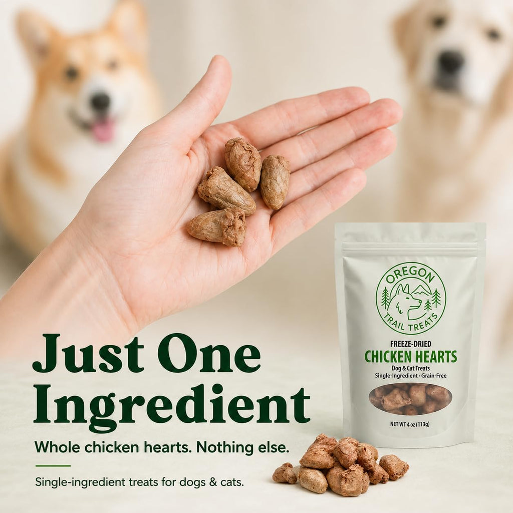 Oregon Trail Treats Freeze Dried Chicken Hearts 4oz - Premium Single Ingredient Cat & Dog Chicken Treats - No Preservatives, Zero Gluten or Grain - Made in the USA