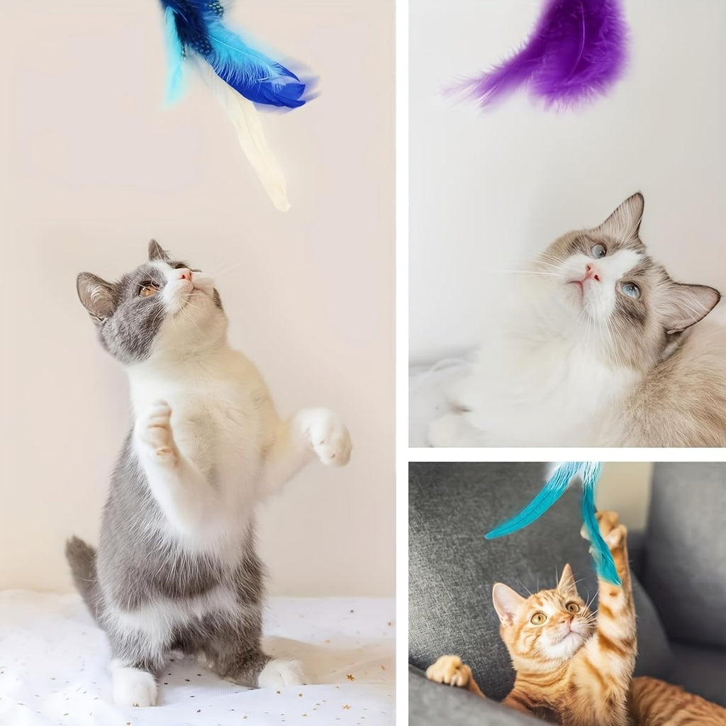 Suction Cup Door Hanging Cat Toy Set, Assorted Replaceable Refills Feather Worm Ribbon Mouse Butterfly Interactive Kitten Play Toy (5Pcs Assorted Set)