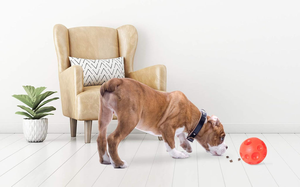 Omega Paw Authentic Tricky Treat Ball - Orange, Medium (3.5") (Pack of 6)