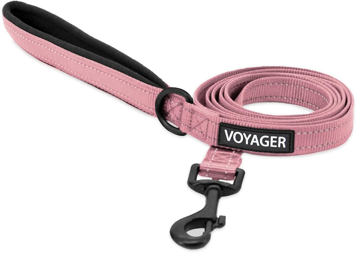 Best Pet Supplies Voyager Nylon Dog Leash - Pink, Large