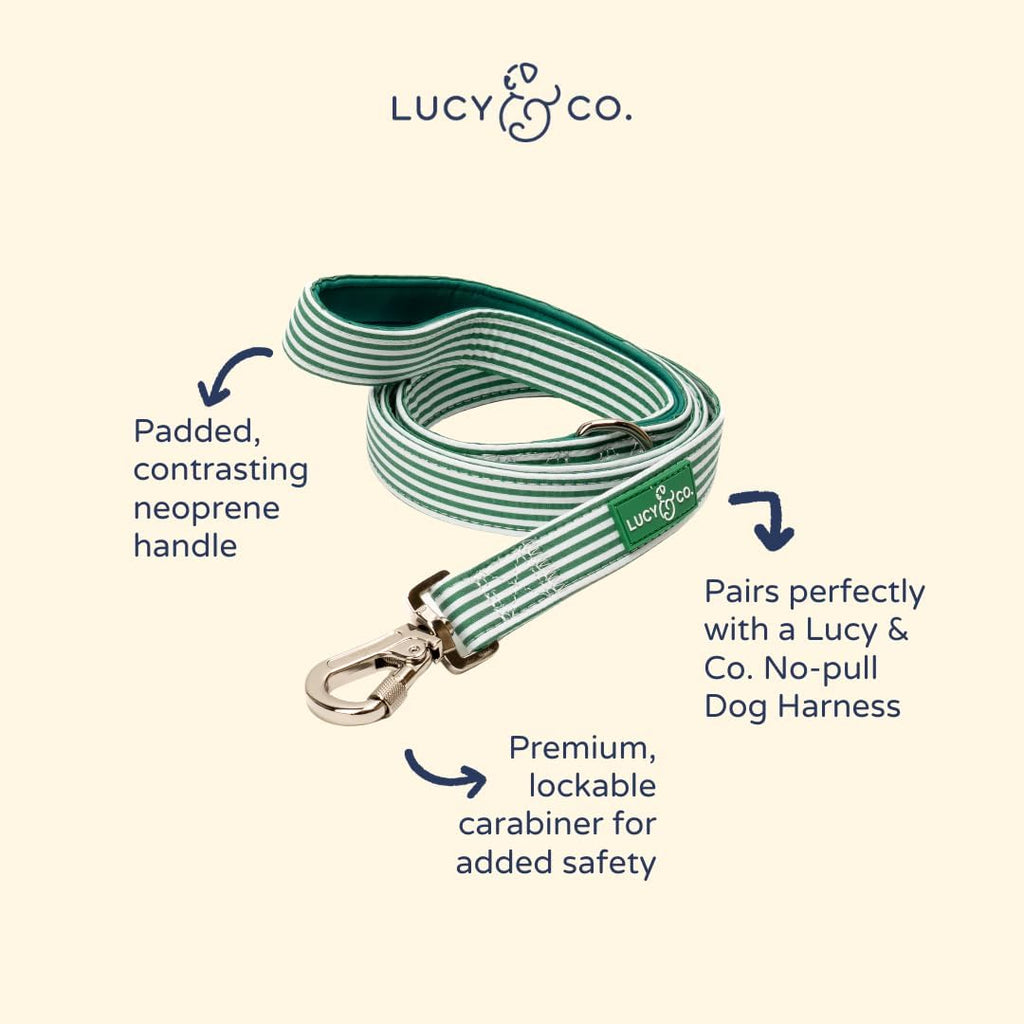 Lucy & Co. Tomato, Tomahto Dog Leash, Durable Matching Dog Lead with Heavy Duty Hardware, Small