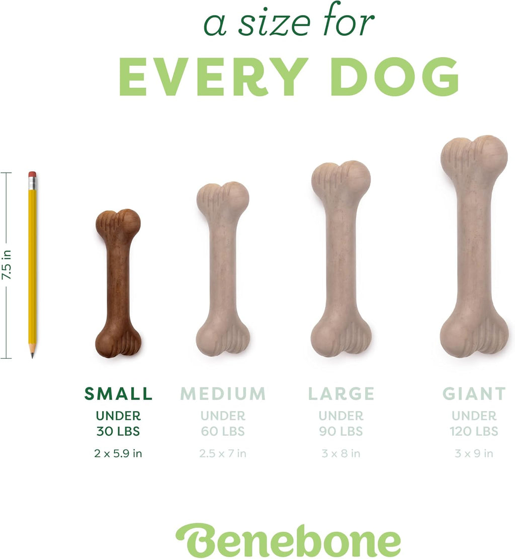 Benebone Bone Dog Chew Toy for Aggressive Chewers, Real Bacon, Small | Durable, Super Chewer, Made in USA, Dog Bones, Long-Lasting, A Size for Every Dog, Keeps Them Busy