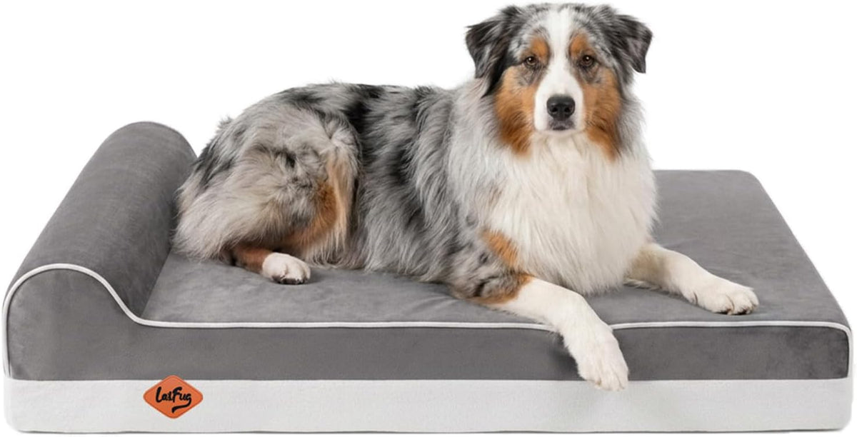 Laifug Orthopedic Dog Bed, Grey 46''x28''x10'', Memory Foam