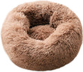 Cat Bed for Indoor Cats,Mini Plush Self Warming Kitten Bed, 20 Inch