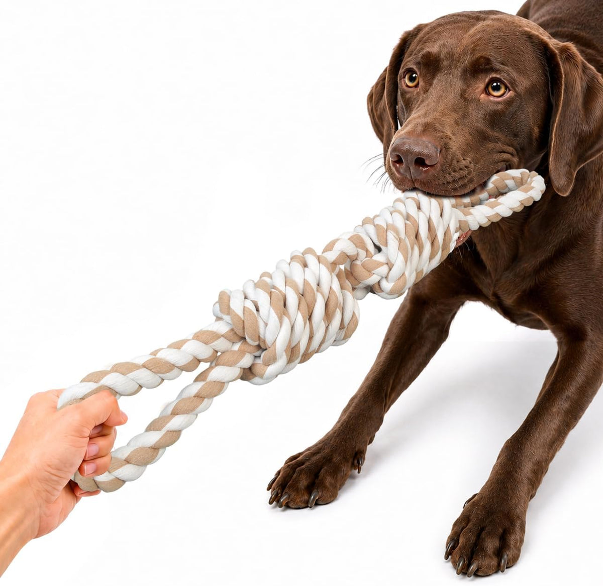 Fida Dog Rope Toys for Aggressive Chewers, Tug Toys for Large Medium Dogs | Heavy Duty Pull Rope for Tug of War with 2 Handles, Natural Cotton, Teeth Cleaning