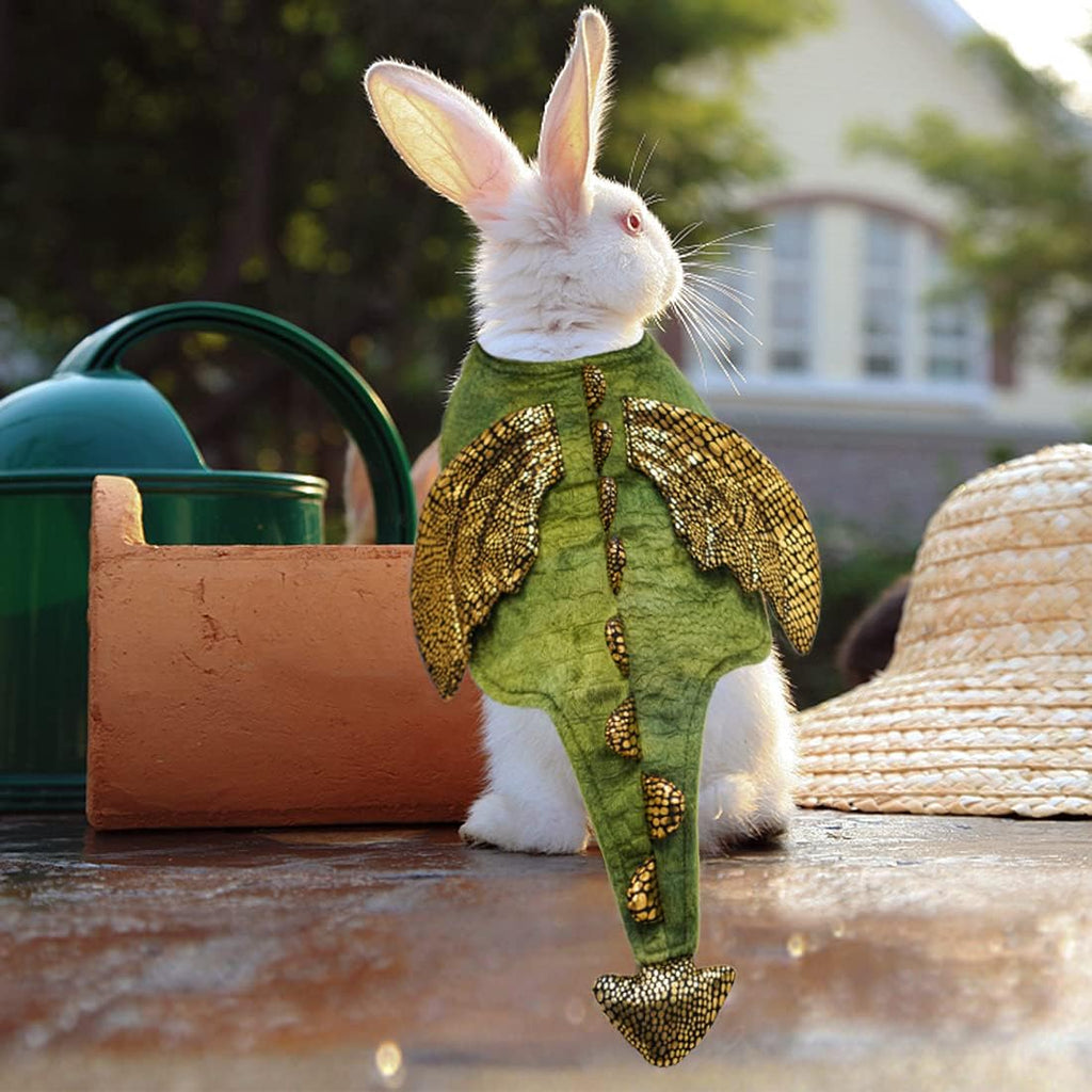 cyeollo Dinosaur Halloween Costume for Rabbit Bunny Puppy Kitten 2lb to 4lb
