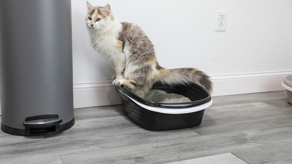 Arm & Hammer Large Sifting Litter Box Scoop Free Cat Litter Tray with Microban, Made in USA | Antimicrobial product protection, ideal for indoor felines, simple lift, shake and pour cleanup, helps keep odors in check