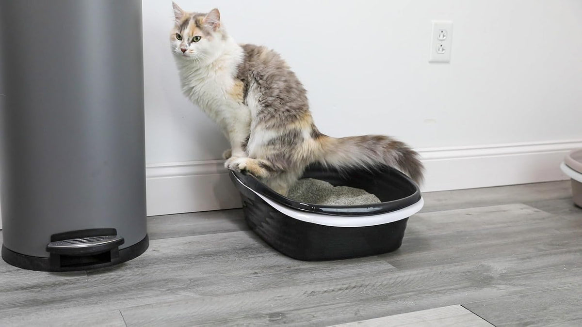 Arm & Hammer Large Sifting Litter Box Scoop Free Cat Litter Tray with Microban, Made in USA | Antimicrobial product protection, ideal for indoor felines, simple lift, shake and pour cleanup, helps keep odors in check